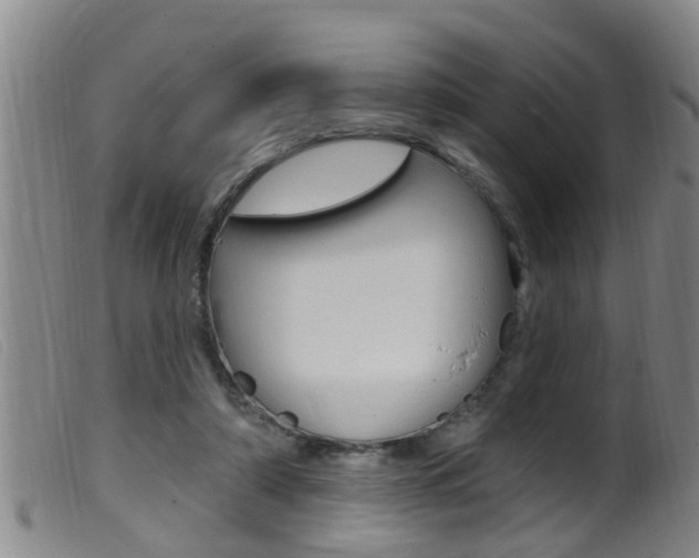 X0000099950306200805231008