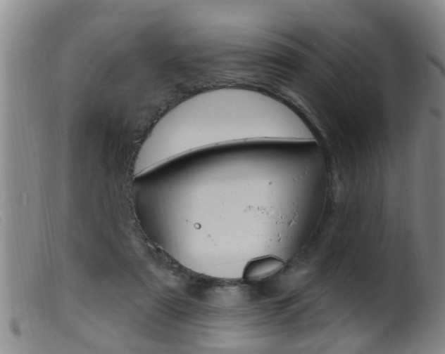 X0000099950307200805231008