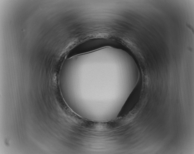 X0000099950308200805231008