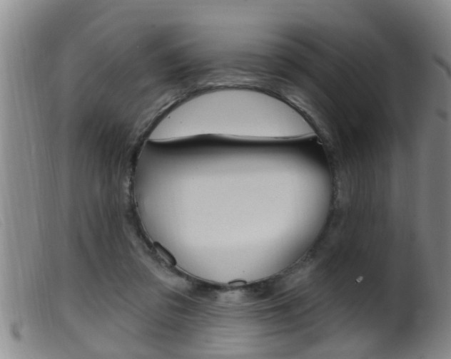 X0000099950309200805231008