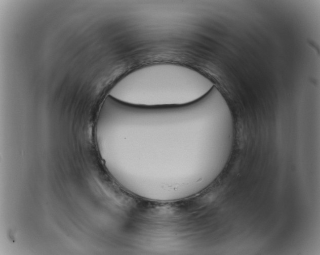 X0000099950310200805231008