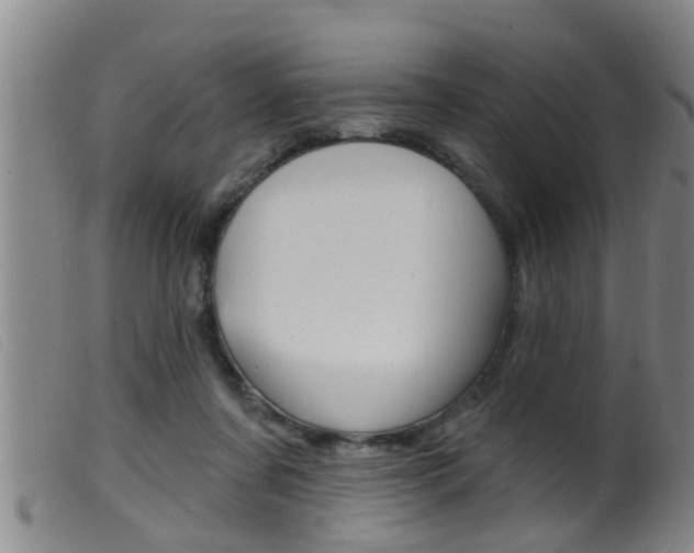 X0000099950311200805231008