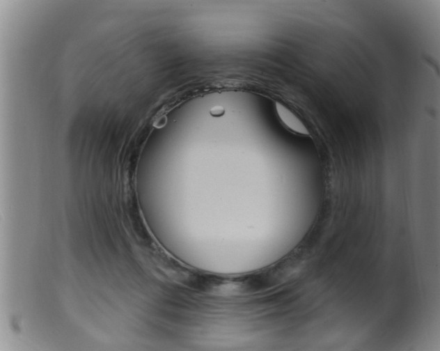 X0000099950312200805231008