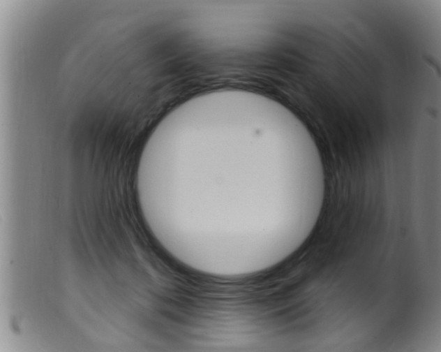 X0000099950316200805231008