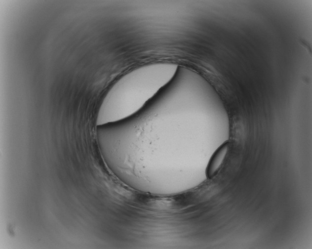 X0000099950318200805231008