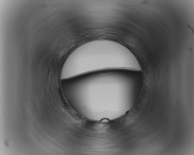 X0000099950319200805231008