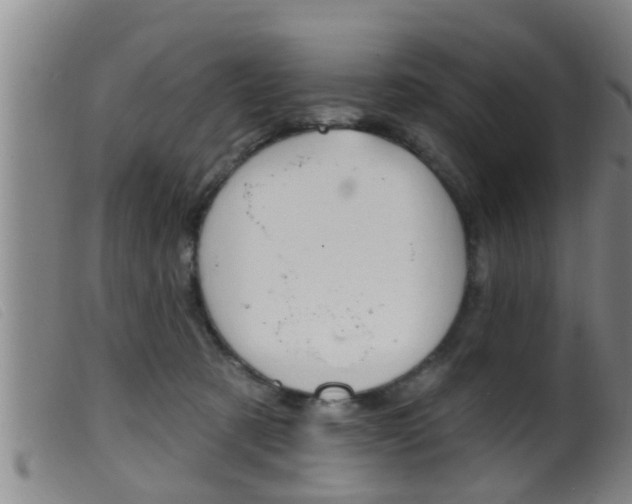 X0000099950321200805231008