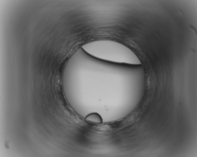 X0000099950322200805231008