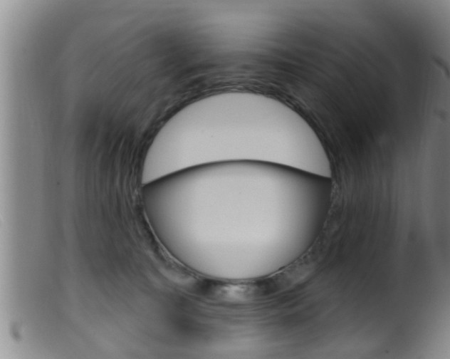 X0000099950323200805231008