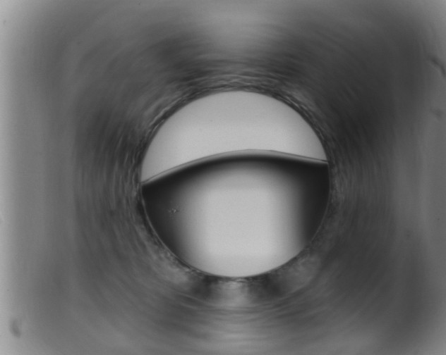 X0000099950325200805231008