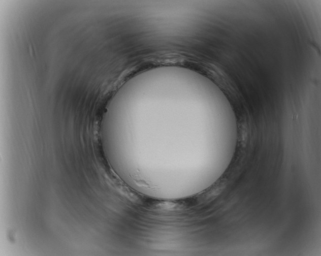 X0000099950326200805231008