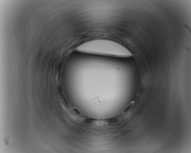 X0000099950327200805231008
