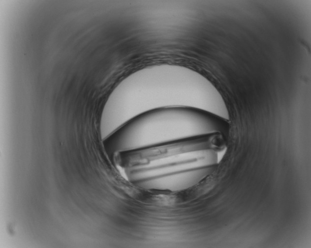 X0000099950328200805231008
