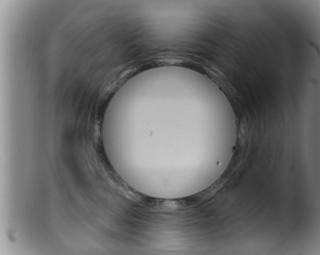 X0000099950330200805231008