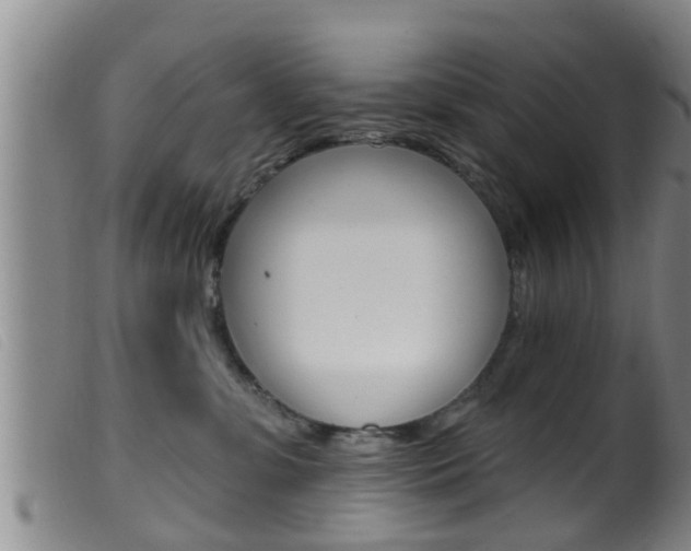 X0000099950331200805231008