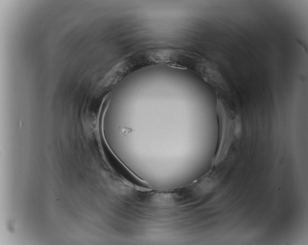 X0000099950332200805231008