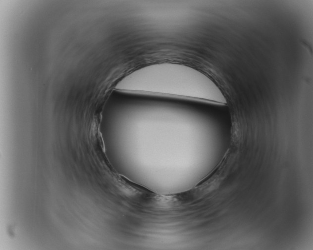 X0000099950333200805231008