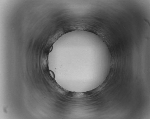 X0000099950334200805231008