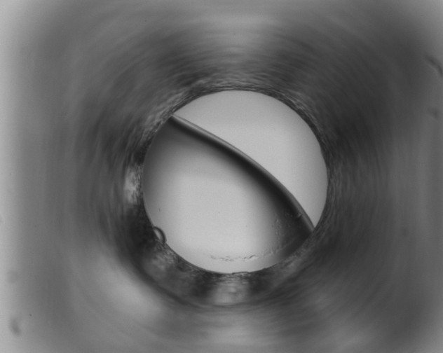 X0000099950335200805231008
