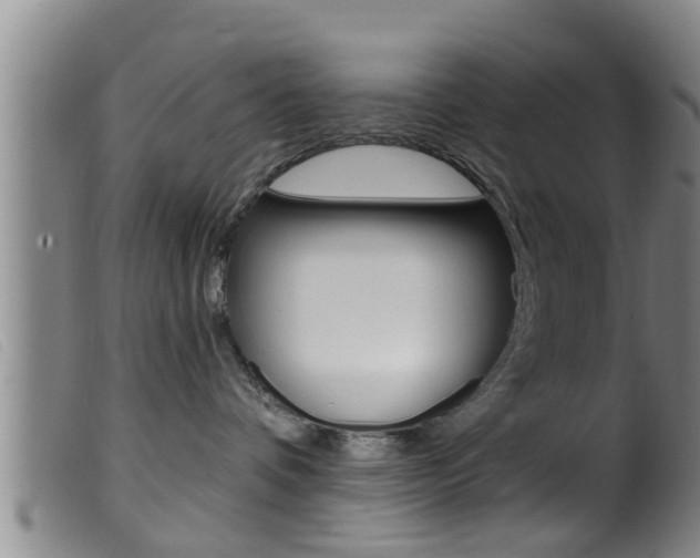 X0000099950336200805231008