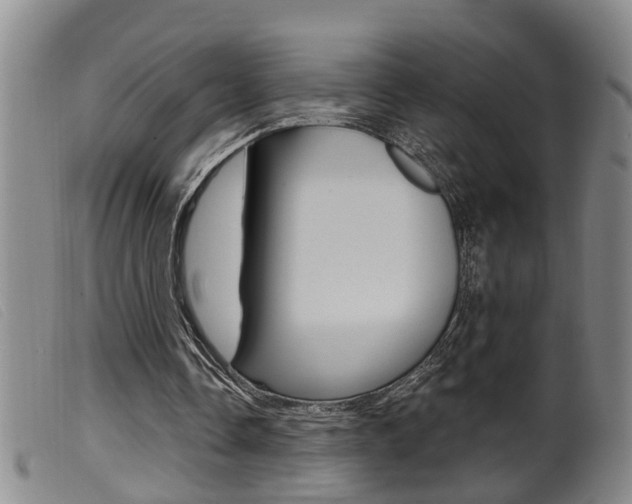X0000099950338200805231007