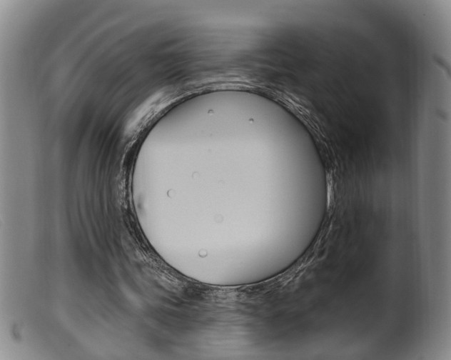 X0000099950339200805231007