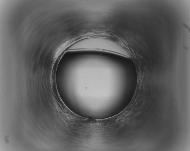 X0000099950340200805231007