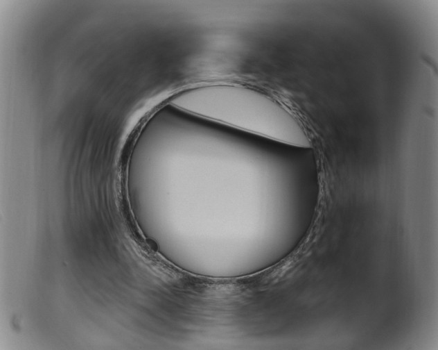 X0000099950342200805231007