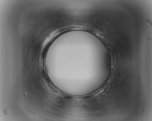 X0000099950343200805231007