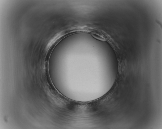 X0000099950344200805231007