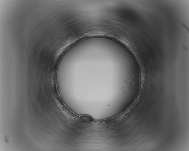 X0000099950345200805231007