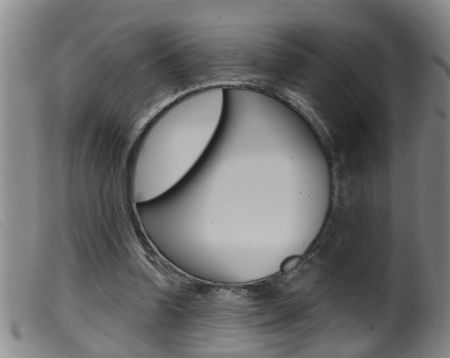 X0000099950346200805231007