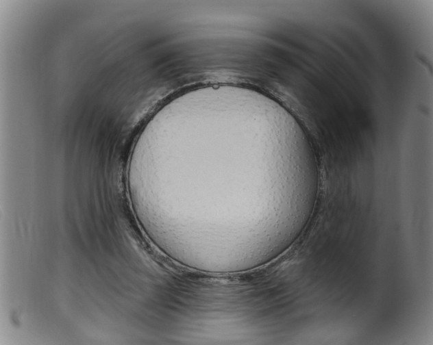 X0000099950347200805231007