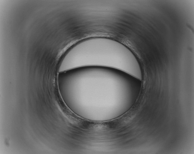 X0000099950348200805231007