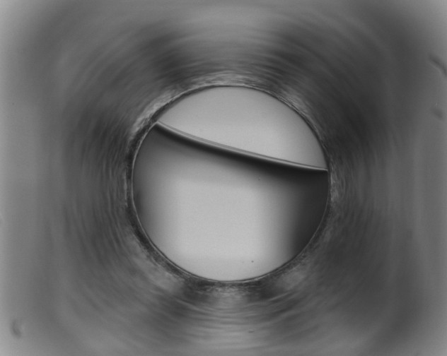 X0000099950349200805231007