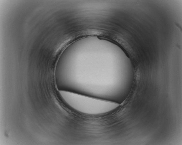 X0000099950352200805231007