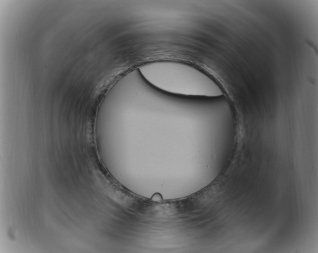 X0000099950353200805231007