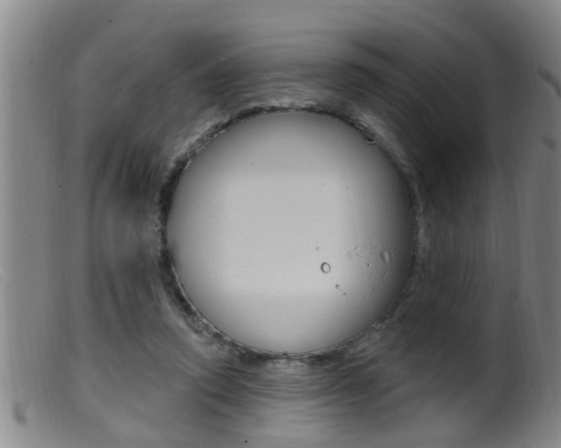 X0000099950354200805231007