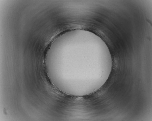 X0000099950355200805231007
