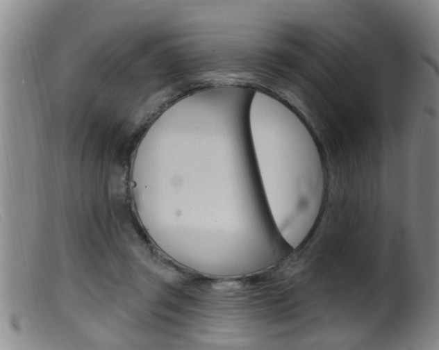 X0000099950357200805231007