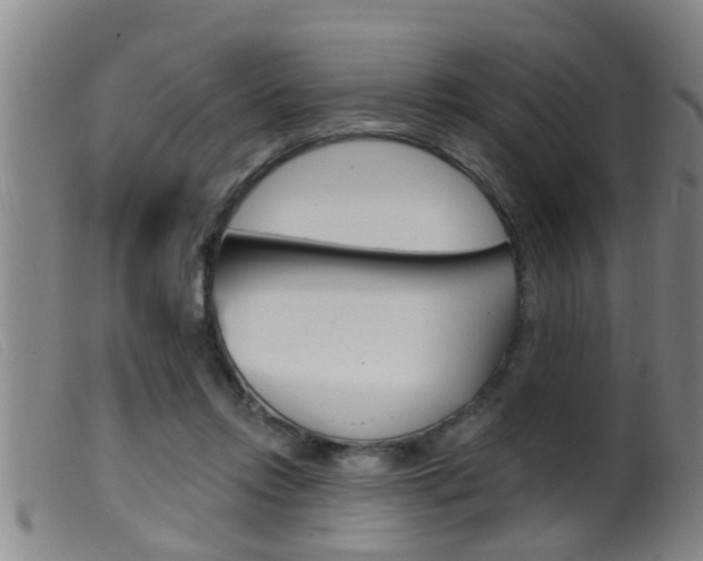 X0000099950358200805231007