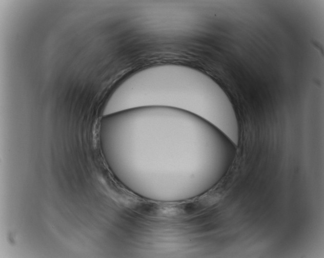 X0000099950360200805231007