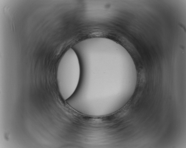 X0000099950361200805231007