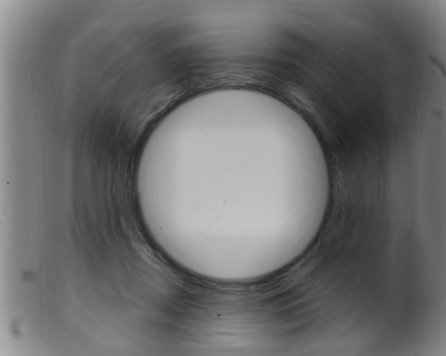 X0000099950362200805231007