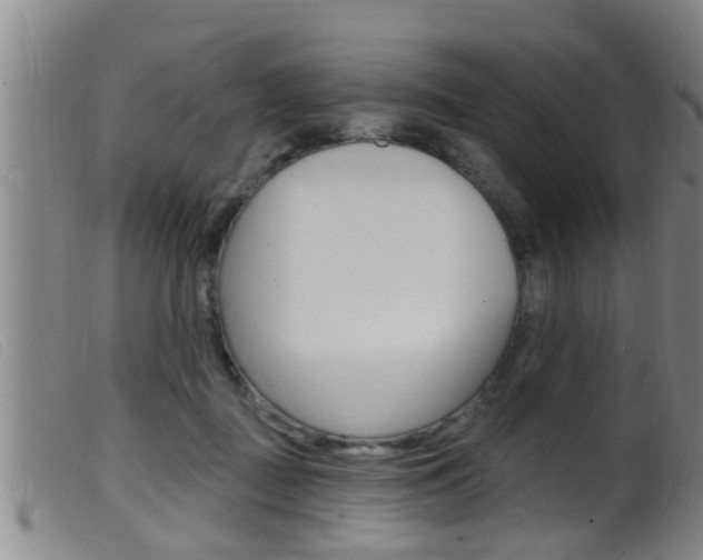 X0000099950363200805231007