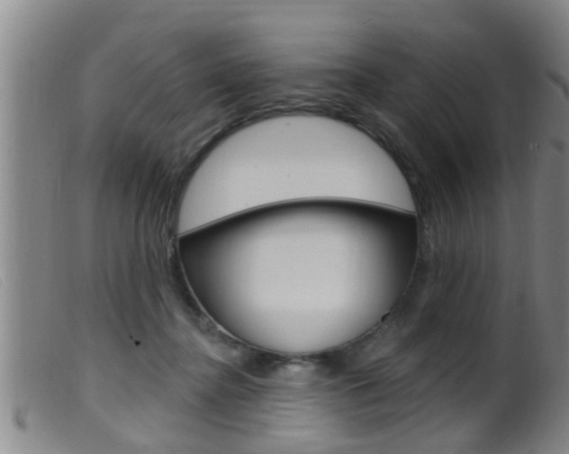 X0000099950364200805231007