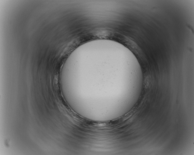 X0000099950365200805231007