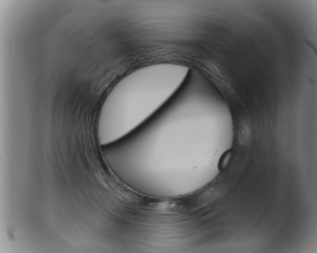X0000099950366200805231007