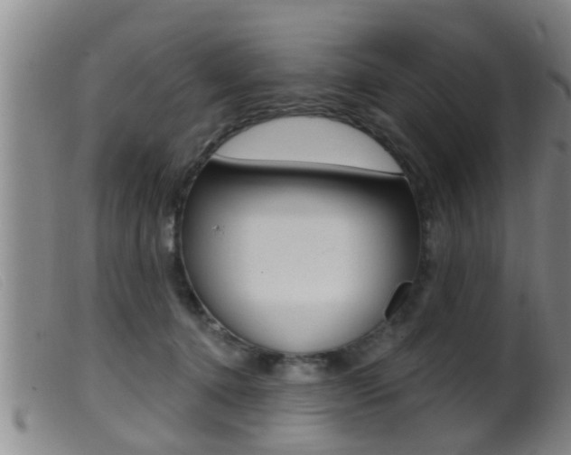 X0000099950368200805231007