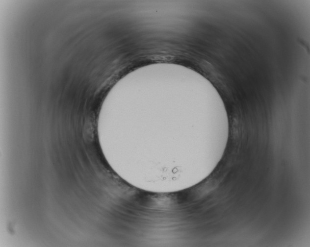 X0000099950370200805231007